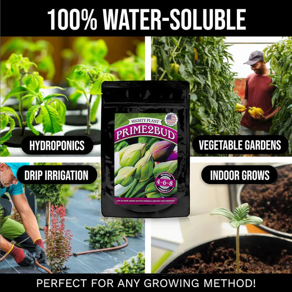 Prime2Bud Booster™