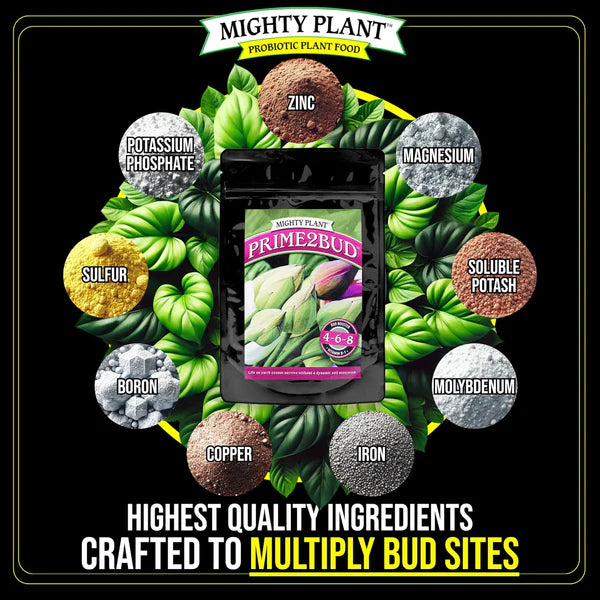 Prime2Bud Booster™