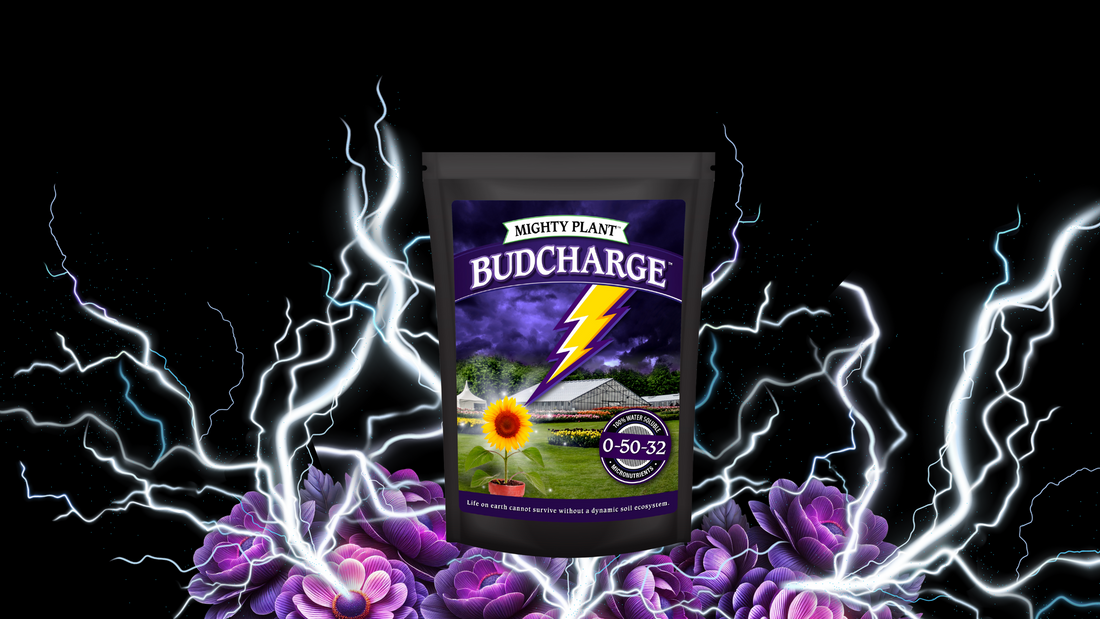 Out with the Blue: Why BudCharge™ Looks Different but Works Just as Hard