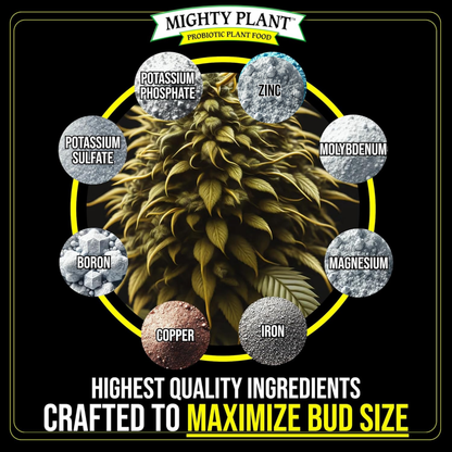 BudCharge Grower Sizes