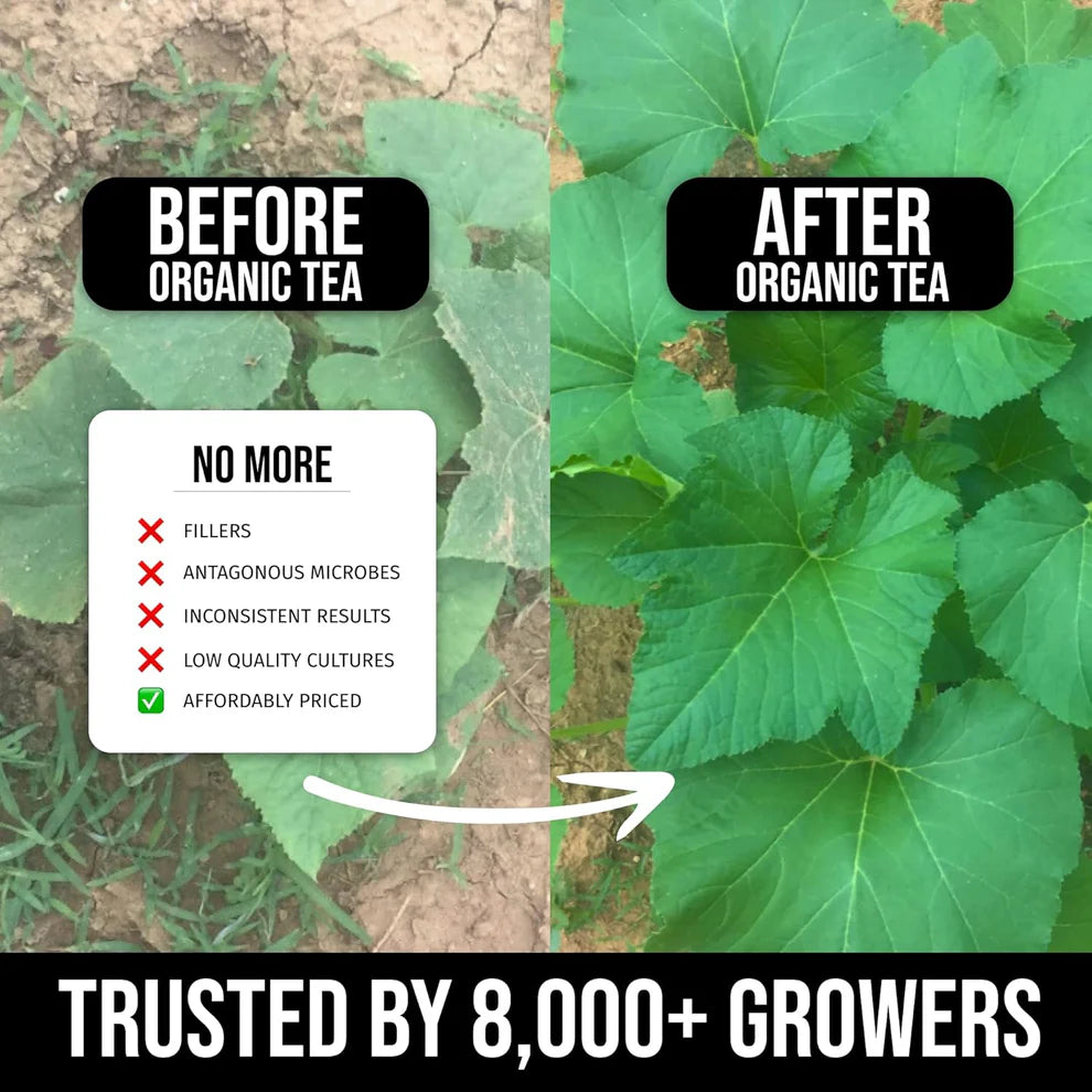 tea leaves plant fertilizer Instant Compost Tea™ – Mighty Plant Probiotic Plant Food