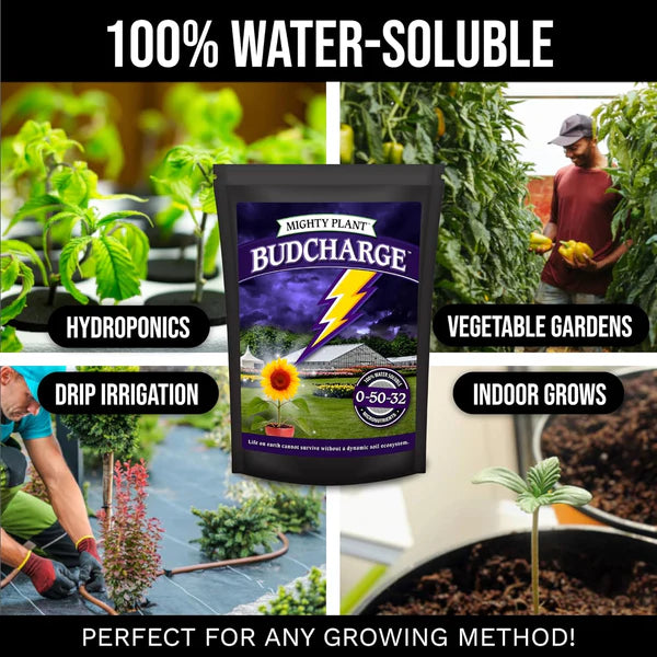 msg as plant fertilizer BudCharge™ – Mighty Plant Probiotic Plant Food