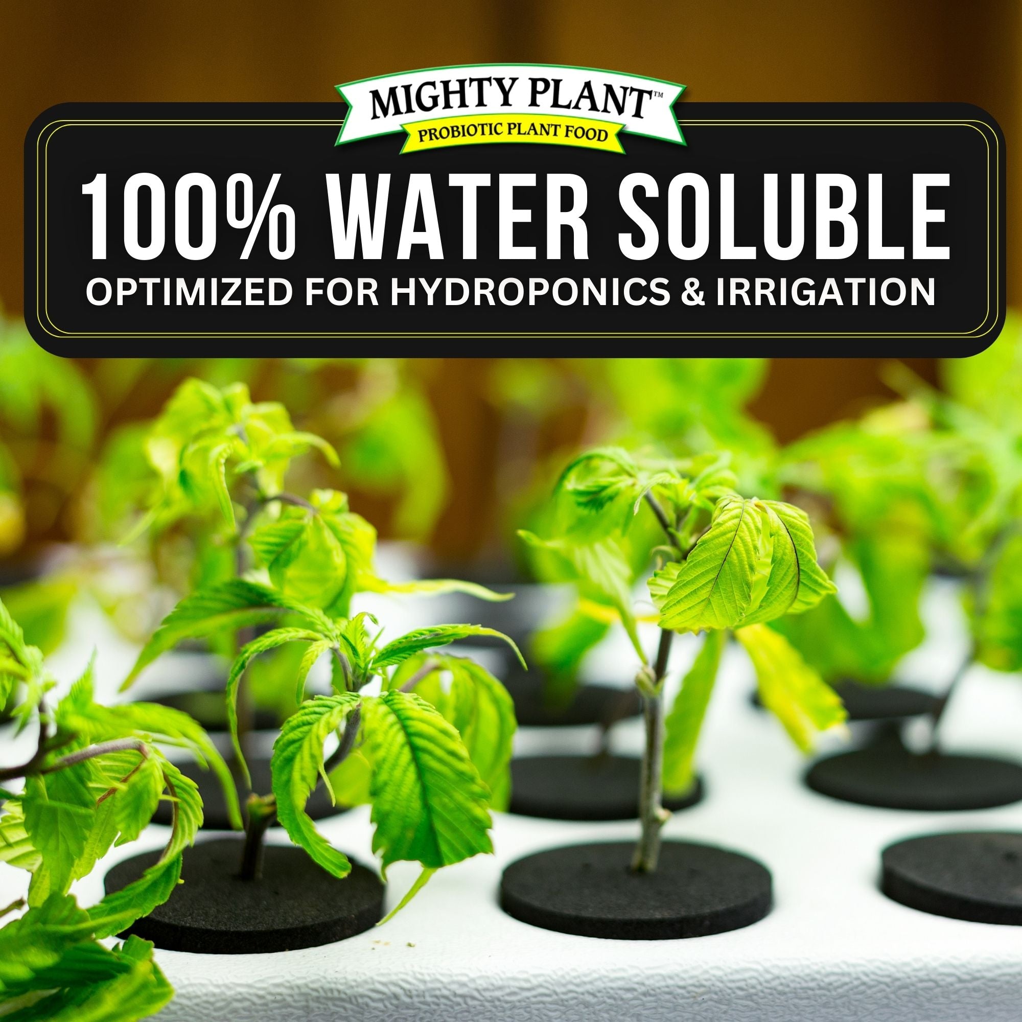 Products – Mighty Plant Probiotic Plant Food